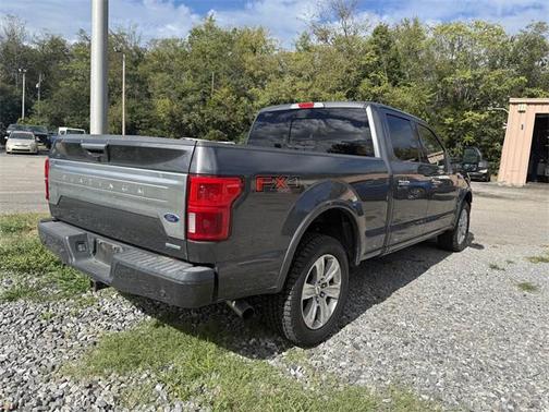 2019 Ford F-150 Platinum