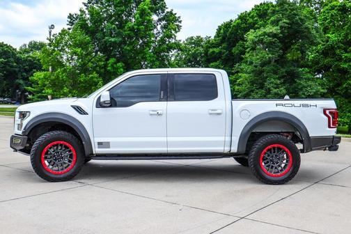 OXFORD WHITE 2019 Ford F-150 Raptor