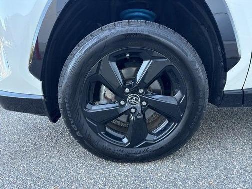 2019 Toyota RAV4 Hybrid SE