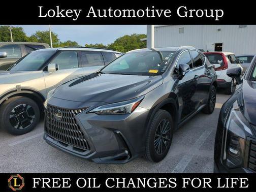Cloudburst Gray 2024 Lexus NX 250 Premium