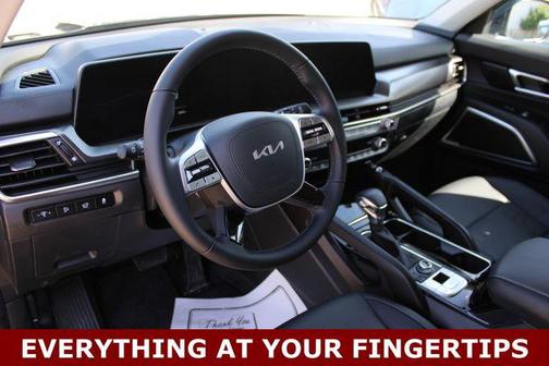 Panthera Metal 2025 Kia Telluride S