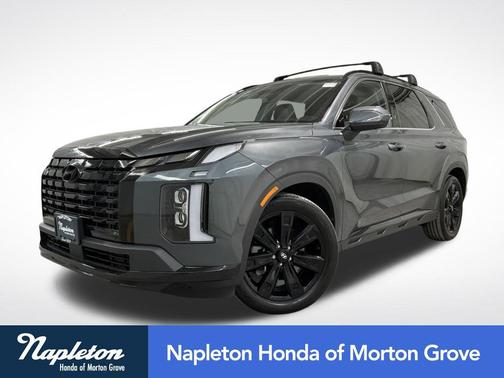 Steel Graphite 2023 Hyundai PALISADE XRT