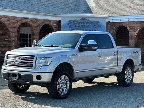 2010 Ford F-150 Platinum