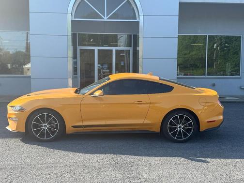 2022 Ford Mustang