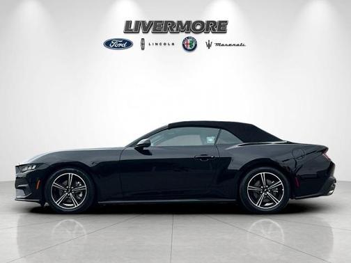 SHADOW BLACK 2025 Ford Mustang ECOBOOST PREMIUM