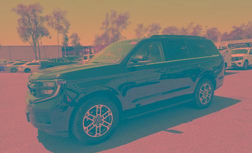 AGATE BLACK METALLIC 2025 Ford Expedition ACTIVE
