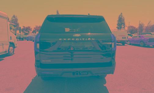 AGATE BLACK METALLIC 2025 Ford Expedition ACTIVE