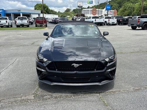 Shadow Black 2019 Ford Mustang GT Premium