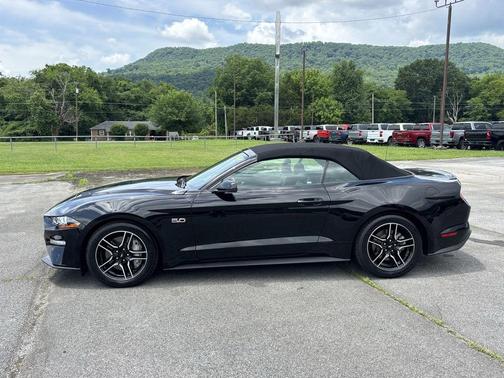 Shadow Black 2019 Ford Mustang GT Premium