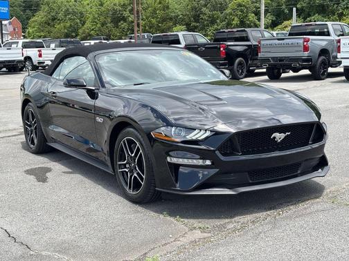Shadow Black 2019 Ford Mustang GT Premium