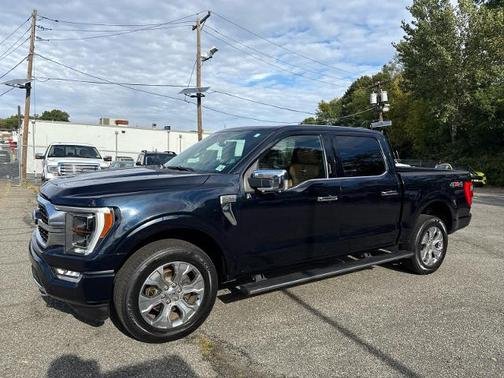 2021 Ford F-150 PLATINUM