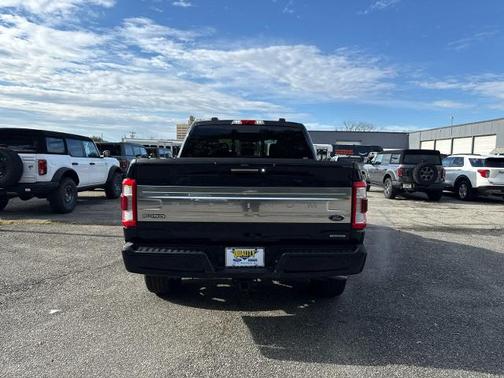 2021 Ford F-150 PLATINUM