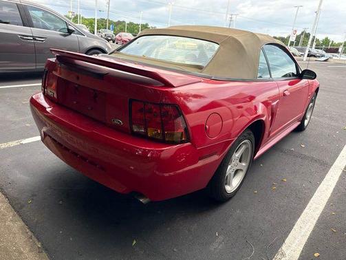 Rio Red Tinted Clearcoat 1999 Ford Mustang SVT Cobra