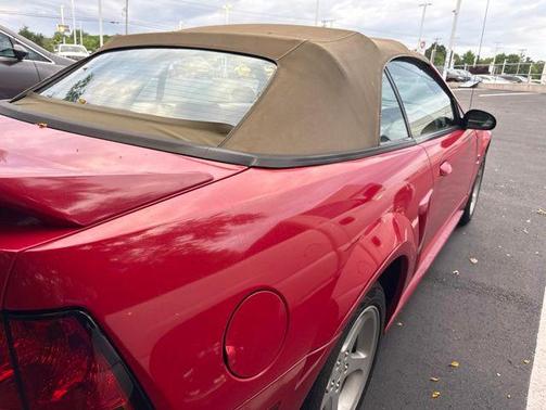 Rio Red Tinted Clearcoat 1999 Ford Mustang SVT Cobra