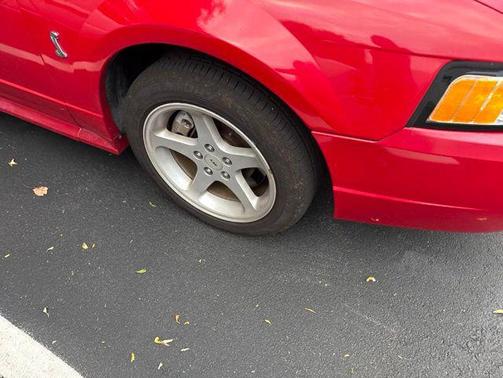 Rio Red Tinted Clearcoat 1999 Ford Mustang SVT Cobra