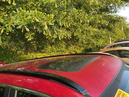 Radiant Red 2025 Honda CR-V Hybrid Sport FWD