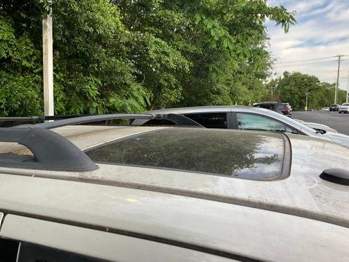 Light Sage Clearcoat Metallic 2008 Ford Escape Limited