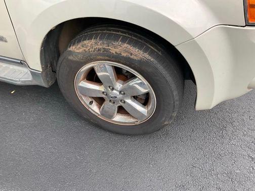 Light Sage Clearcoat Metallic 2008 Ford Escape Limited