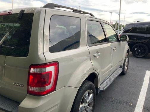 Light Sage Clearcoat Metallic 2008 Ford Escape Limited