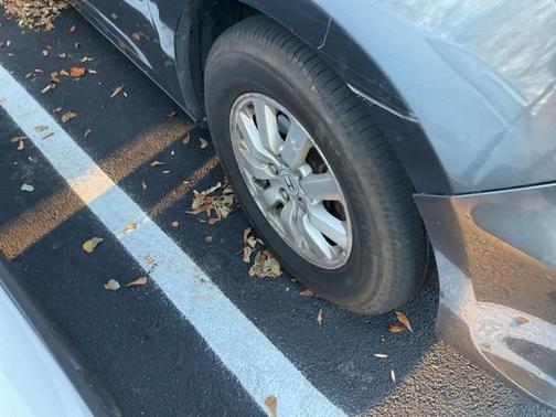 2010 Honda Odyssey EX-L