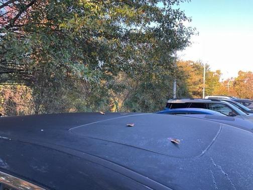 2017 Acura RDX Advance Package