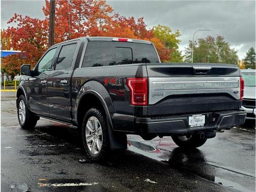 2015 Ford F-150 Platinum