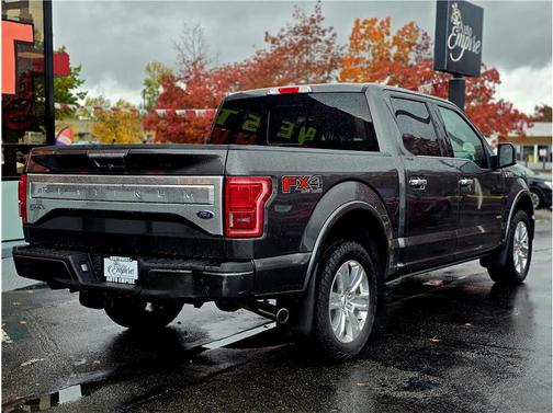 2015 Ford F-150 Platinum