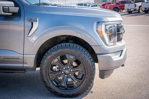 2022 Ford F-150 Platinum