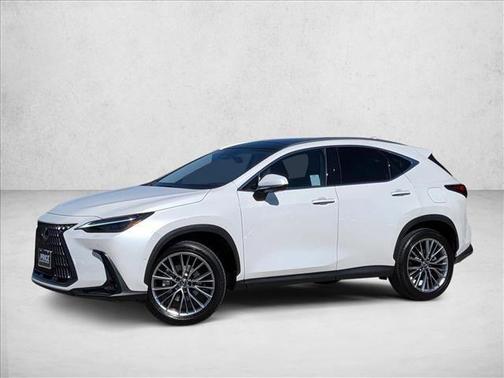 2025 Lexus NX 350h Luxury