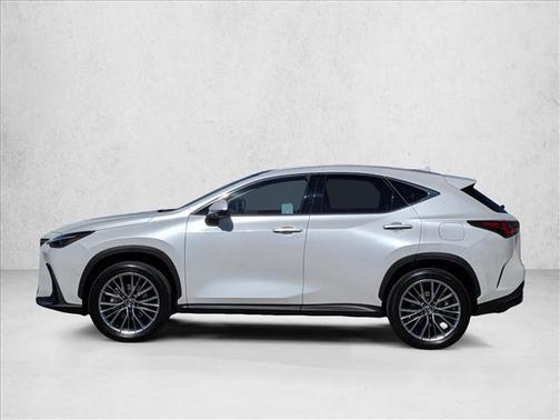 2025 Lexus NX 350h Luxury