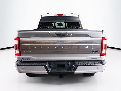 Avalanche 2023 Ford F-150 Platinum