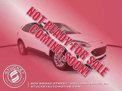 Oxford White 2020 Ford Escape SE