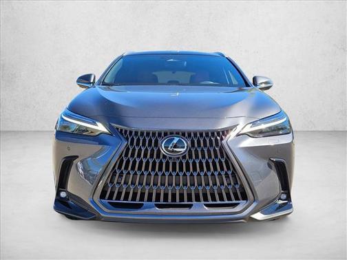 2025 Lexus NX 350h Luxury