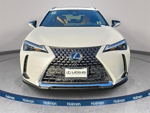 2025 Lexus UX 300h Premium