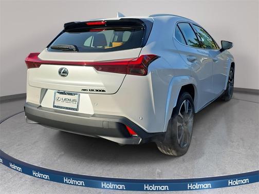 2025 Lexus UX 300h Premium