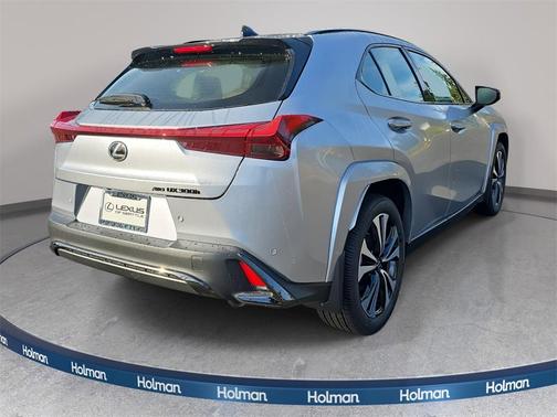 2025 Lexus UX 300h F SPORT Design