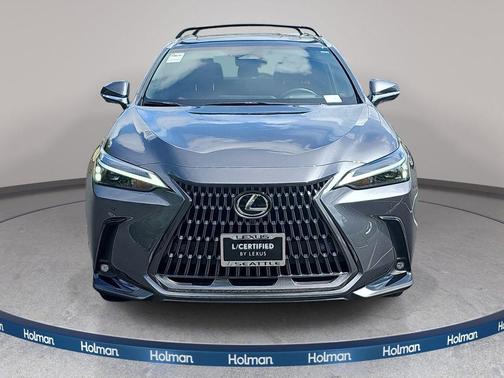 Cloudburst Gray 2025 Lexus NX 350h Premium