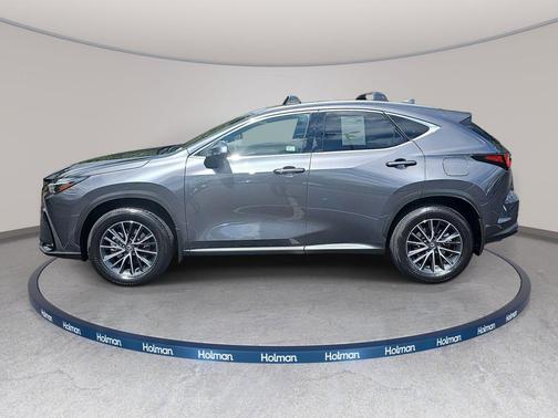 Cloudburst Gray 2025 Lexus NX 350h Premium