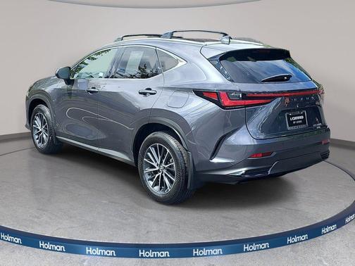 Cloudburst Gray 2025 Lexus NX 350h Premium