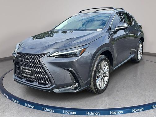 Cloudburst Gray 2024 Lexus NX 350h Luxury