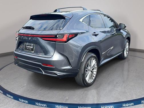 Cloudburst Gray 2024 Lexus NX 350h Luxury