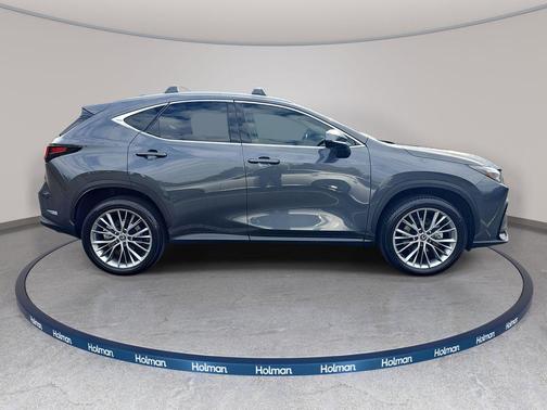 Cloudburst Gray 2024 Lexus NX 350h Luxury