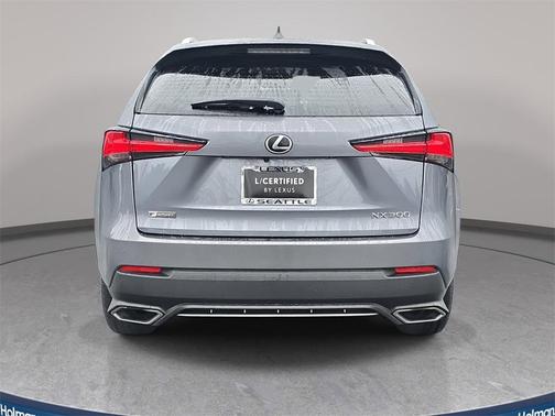 2021 Lexus NX 300 F Sport