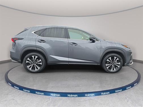 2021 Lexus NX 300 F Sport