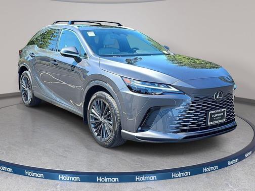 Cloudburst Gray 2025 Lexus RX 350 Premium