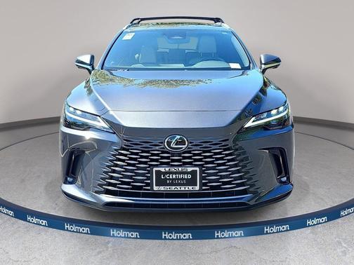 Cloudburst Gray 2025 Lexus RX 350 Premium