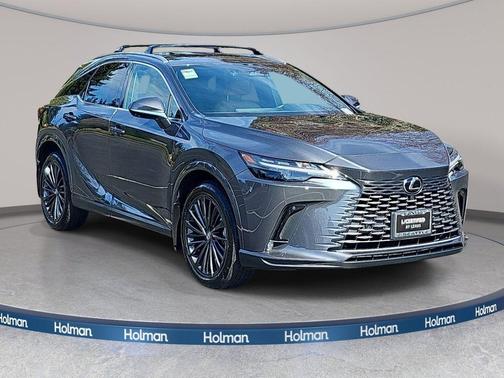 Cloudburst Gray 2025 Lexus RX 350 Premium
