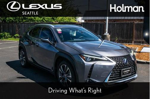 2021 Lexus UX 250h Luxury
