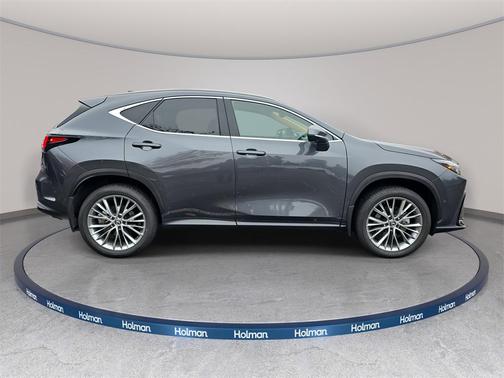 2025 Lexus NX 350h Luxury