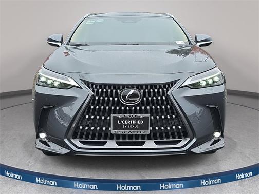 2025 Lexus NX 350h Luxury